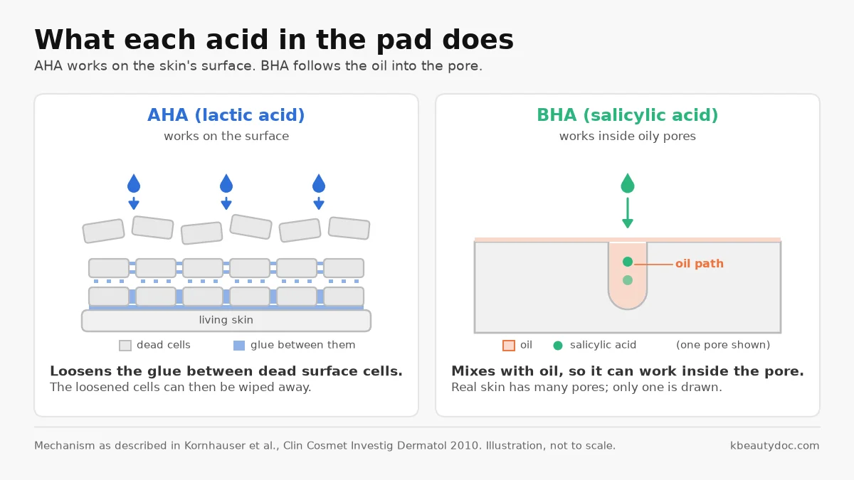 Diagram: lactic acid (AHA) loosens the glue between dead cells on the skin surface, while salicylic acid (BHA) travels through oil down into one pore