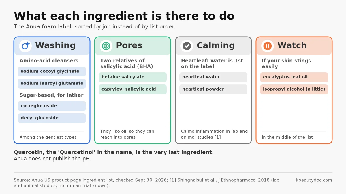 Anua cleansing foam ingredients sorted by job: washing (amino-acid and sugar cleansers), pores (betaine salicylate, capryloyl salicylic acid), calming (heartleaf water and powder), and ingredients to watch (eucalyptus oil, isopropyl alcohol)