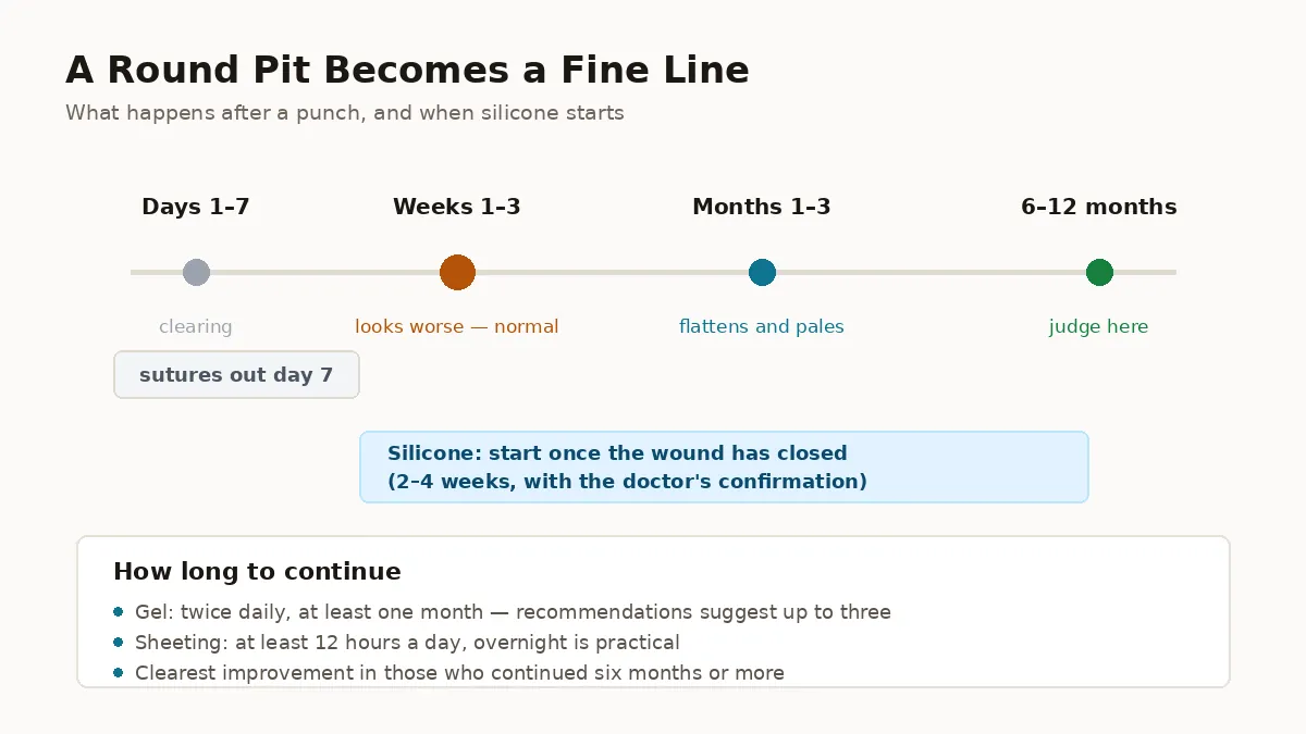 How a punch scar heals, and when to start silicone