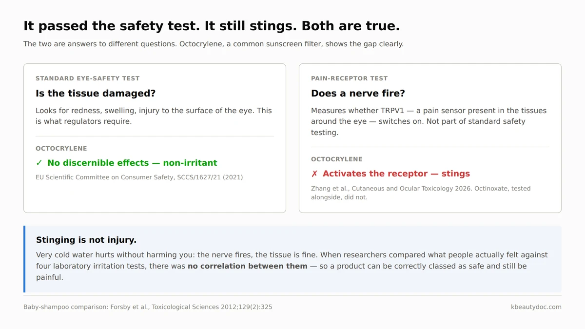 Octocrylene classed as a non-irritant on the standard eye-safety test but activating the TRPV1 pain receptor in a separate test